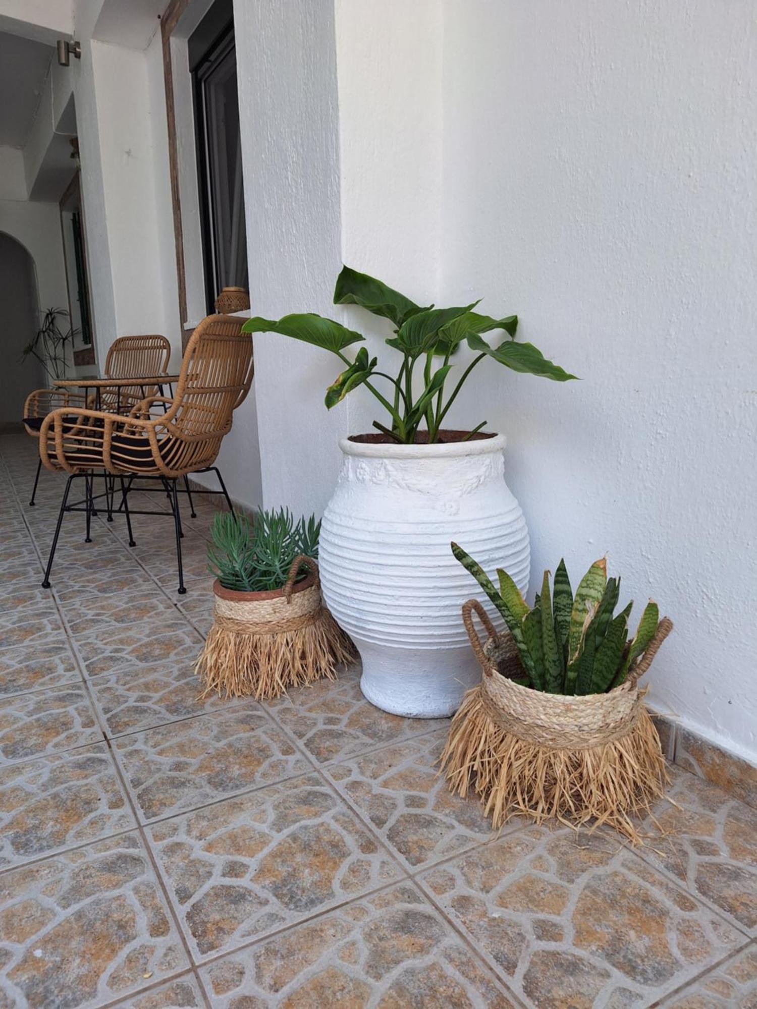 Vithos Apartment Agnontas Bagian luar foto